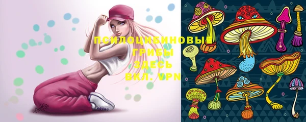 2c-b Белоозёрский