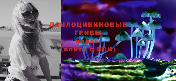 мдпв Белокуриха