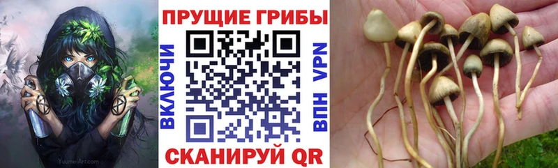 Псилоцибиновые грибы мухоморы  MEGA ссылки  Вуктыл 