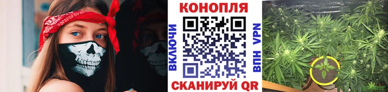 МАРИХУАНА сатива Вуктыл